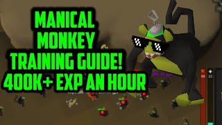 OSRS MANIACAL MONKEY CHINNING GUIDE 2021 [upl. by Eyllek]