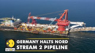 Germany halts Nord Stream 2 project amid RussiaUkraine conflict  Latest World English News  WION [upl. by Ymmot344]