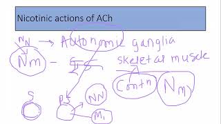 Parasympathomimetic drugs part 4 2024 [upl. by Flight594]