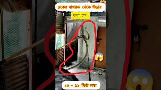 গাজোল ব্লকের বাথরুম থেকে কি বেরোলো 😱🐍 banglaminivlog snake trending ytshorts nature shorts [upl. by Silvano]