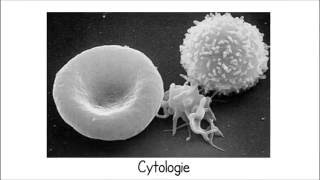 Cours Cytologie Première Année Médecine Dentaire partie 1 [upl. by Cirala]