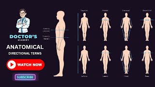 Anatomical Directional Terms [upl. by Ball]