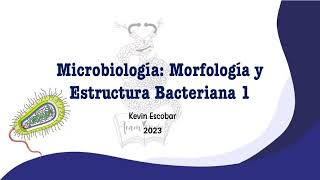 Morfología y Estructura Bacteriana 1 [upl. by Gladstone]