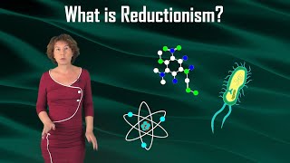 What is Reductionism [upl. by Aicelav600]