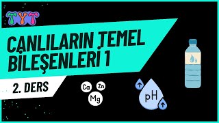 Canlıların Temel Bileşenleri 1 tytbiyoloji 2ders [upl. by Marsiella]