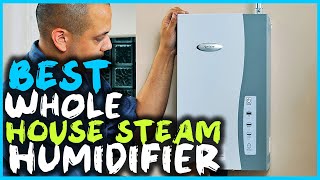 Top 5 Best Whole House Steam Humidifiers Review  Digital Ultrasonic Dispenser Humidifier 2023 [upl. by Lerrej637]