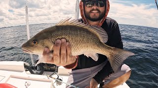 Snapper Fishing Tampa Bay Using the Knocker Rig [upl. by Nalyk]