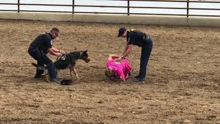 K9 Demo Clovis Rodeo 2018 [upl. by Roxine965]