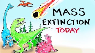 Mass Extinction Crisis TODAY [upl. by Natek]