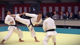 Explosive Karate  Tokyo Budokan Reopening Events 2012 [upl. by Kathleen424]