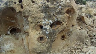 The Hunt for Baculites in the Book Cliffs of Colorado [upl. by Victorine338]