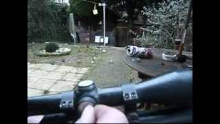 How To Sight In an Air Rifle Scope [upl. by Wallis]