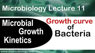 Bacterial growth curve microbiology  Log phase lag phase stationary phase in microbial growth [upl. by Brucie997]