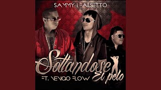 Soltandose el Pelo feat Ñengo Flow [upl. by Lisle]