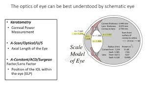 Biometry Part I Keratometry  Part II on Biometry will be available at quickguideorg [upl. by Vernen]