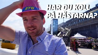 Travhästar och tester  en vecka i maj med Jesper Nelin [upl. by Karena362]