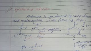 Synthesis of Adenine [upl. by Maryjane]