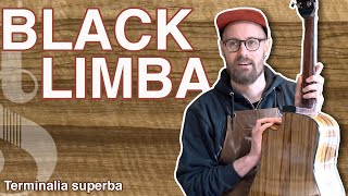 BLACK LIMBA KORINA  Gibsons big secret  Terminalia superba  Tommys Tonewoods [upl. by Ylicic]