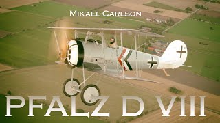 Mikael Carlson Pfalz D VIII Long filmversion Jesper Rådegård Aviation Video [upl. by Aggappora]