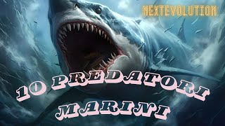 Predatori Marini Più Letali e Pericolosi [upl. by Nerraf]