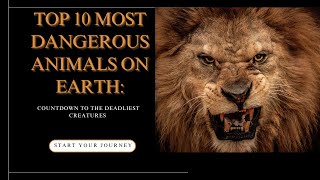 Top 10 Most Dangerous Animals on Earth Countdown to the Deadliest Creatures [upl. by Ahsille]