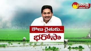 YSR Rythu Bharosa Tenant Farmers Today  CM Jagan SakshiTV [upl. by Imugem]