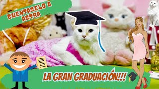 LA GRAN GRADUACIÓN 🎓 EPISODIO 22 CUENTASELO A ASTRA astraynoctis gatos michis astra [upl. by Annemarie]