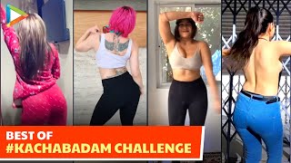 Best Of KachaBadam Challenge🔥 ft Anjali Arora Sofia amp others  Kacha Badam Instagram Reels [upl. by Town]