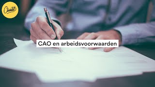 CAO en arbeidsvoorwaarden  Mr Chadd Academy [upl. by Howell]