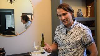 French Budget White Wine Review Muscadet from the Loire Valley [upl. by Lemrahs]