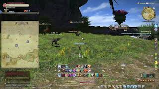 Clipped Wings  Final Fantasy XIV  A Realm Reborn [upl. by Adav200]