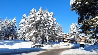 Zlatibor  Put do centra Zima 2021 [upl. by Refotsirc]