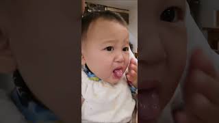 赤ちゃんが初めてわさびを食べてみたThe baby tried wasabi for the first time [upl. by Winnick52]