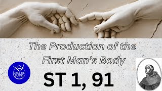 Study the Summa ST 1 91 The Production of the First Mans Body [upl. by Ziguard499]