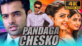 Diwali Special Blockbuster Movie  Pandaga Chesko 4K  राम पोथीनेनी रकुल प्रीत सिंह ब्रह्मानंदम [upl. by Hannazus185]