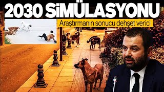 TÜRKİYE’DE KÖPEK SAYIMI YAPILDI 2030 SİMÜLASYONU DEHŞET VERİCİ SONUCU ORTAYA ÇIKARDI SESLİ MAKALE [upl. by Anivla]