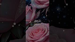 SURAH LAIL  سورۃ الیل  shortvideo islam quraan yt YouTube islamicthoughtsz [upl. by Goggin]