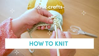 How to Knit  for absolute BEGINNERS [upl. by Aserehc13]