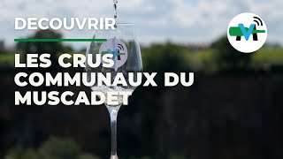 À la découverte des crus communaux du Muscadet [upl. by Aelc]