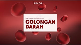 BIOLOGI 12 SMA  Genetika Polapola Hereditas Golongan Darah [upl. by Darius]