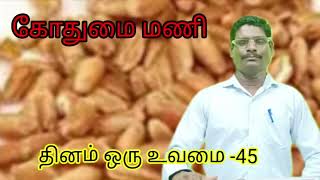 கோதுமை மணி  தினம் ஒரு உவமை 45 Christian Message Eva M P S zerubbabel [upl. by Sset]