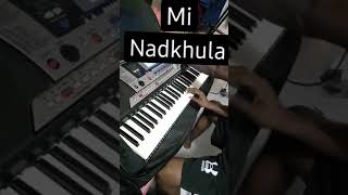 Tichya mage zhaluya pagal MI Nadkhula cover song  Prashant nakati  shorts [upl. by Hatnamas89]