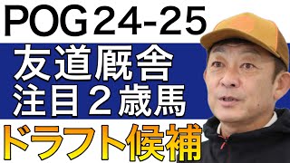 【POG24−25】友道厩舎の注目２歳馬をリストアップ！！【栗東の名門！！／ドラフト検討向け】 [upl. by Algy]