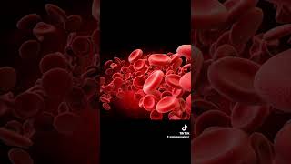 June Edition of MyHealth Matters in 3 hours 45 minutes SICKLE CELL DISEASES Circulatory System [upl. by Nodababus838]