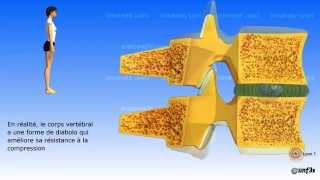 Le vieillissement de la colonne vertébrale [upl. by Keeley910]