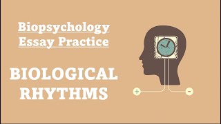 ESSAY PRACTICE Biological Rhythms [upl. by Inga31]