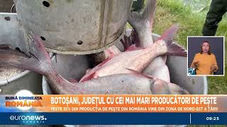 Botoșani județul cu cei mai mari producători de pește 35 din producția țării vine din nordest [upl. by See]