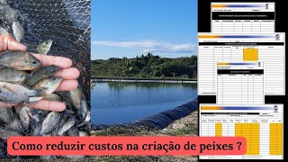 PISCICULTURA 497 Como reduzir os custos da criação de peixes [upl. by Oloapnaig]