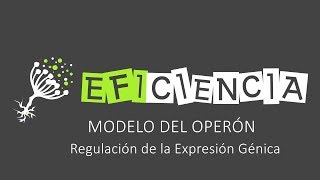 MODELO DEL OPERÓN Regulación de la Expresión Génica [upl. by Syla938]