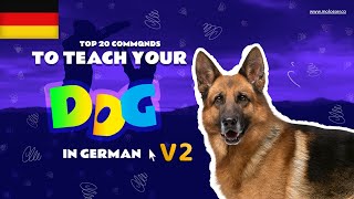 Teach Your Dog Commands In German v2 corrected version 20 Common Words [upl. by Enirroc]